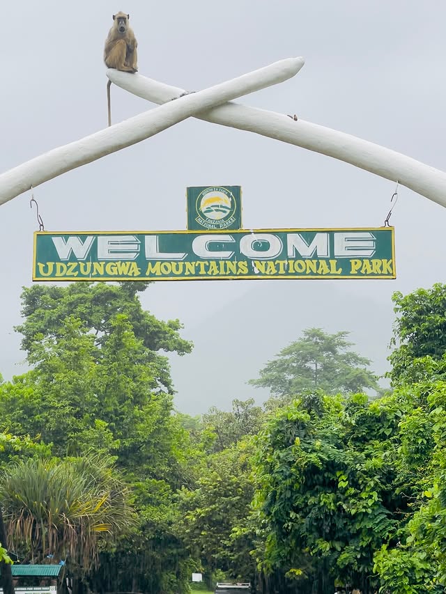 Tarangire